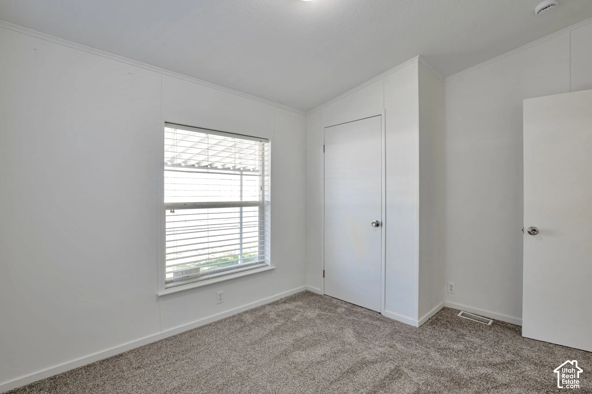 Carpeted flooring, white walls, and a window with horizontal blinds