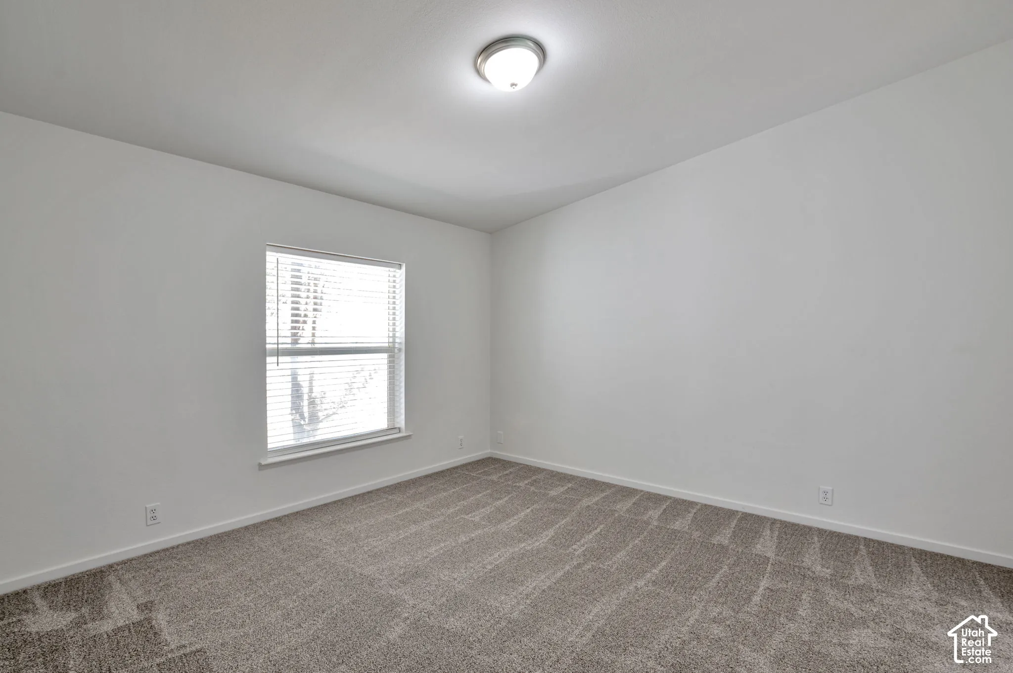 Neutral paint palette with textured carpet flooring, a single window with blinds, and a flush-mount ceiling light fixture