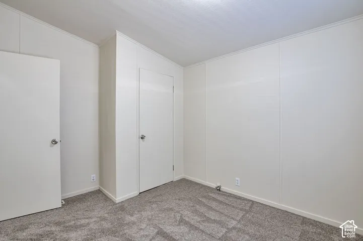 Gray plush carpeting, white paneled walls, and white solid doors