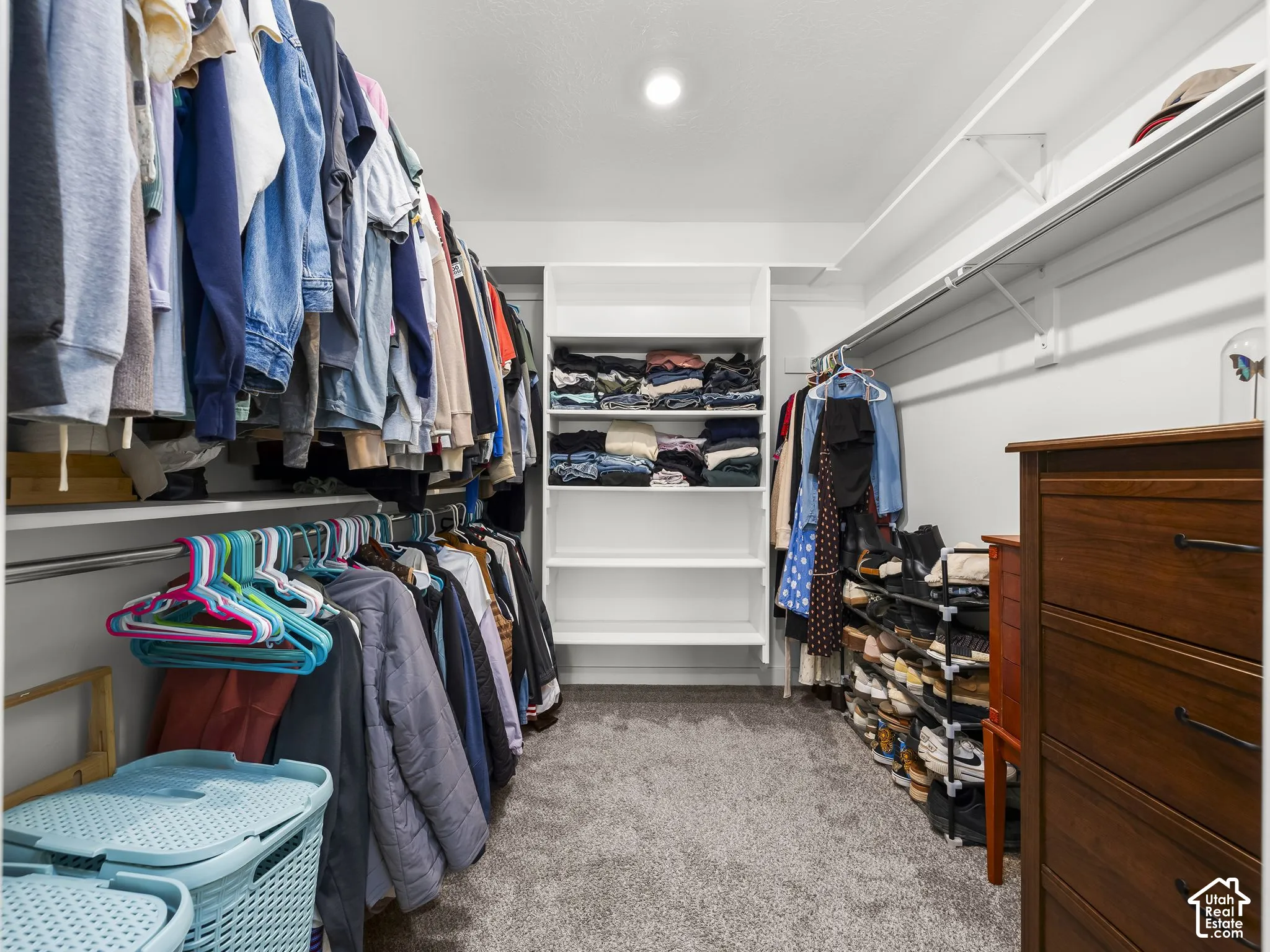 Integrated closet system with multiple hanging rods, built-in shelving, and carpeted flooring