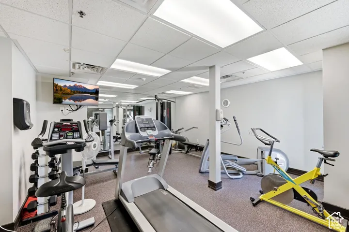 Dedicated fitness area featuring durable carpet flooring, bright overhead lighting, and an assortment of exercise equipment