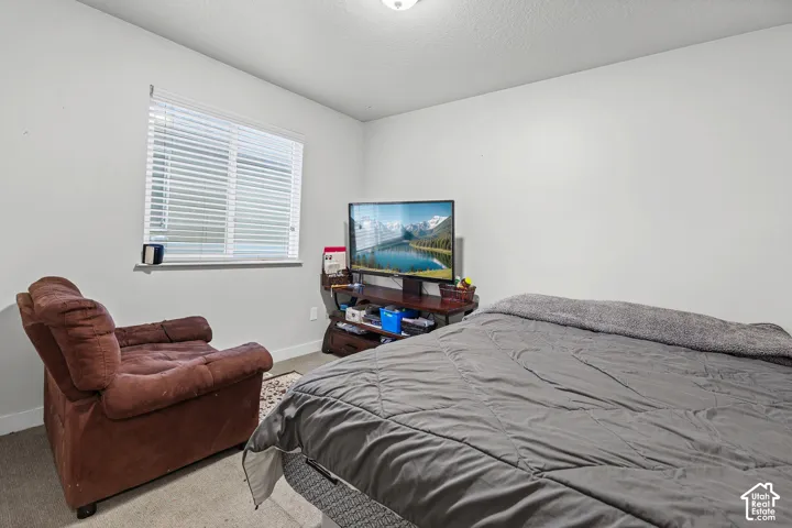 Window with blinds, white walls, and carpet flooring