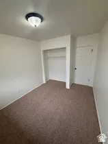 Neutral wall finishes, recessed closet with hanging rod, flush-mount ceiling light fixture, and brown carpet flooring