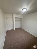 Neutral wall color, ceiling-mounted light fixture, warm-toned carpeting, and an integrated closet with hanging rod
