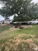 Expansive backyard featuring a mature tree, terraced landscaping, and a built-in fire pit area with bench seating