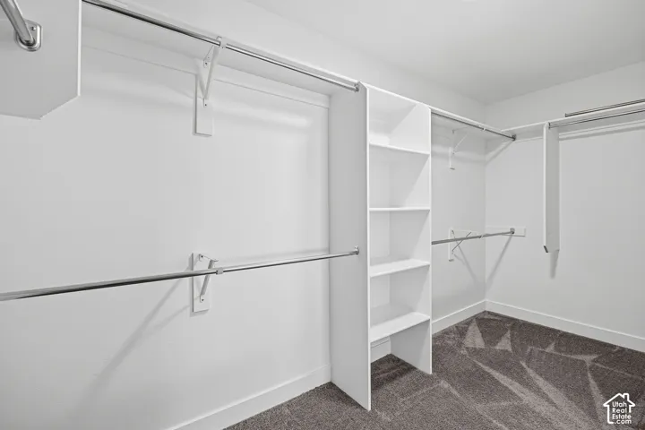 Built-in shelving unit, multiple chrome hanging rods, wall-mounted brackets, and gray carpet flooring