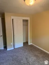 Plush carpeting, neutral wall color, white trim, sliding closet doors, and overhead lighting