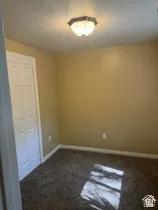 Recessed ceiling light, paneled interior door, wall-to-wall carpeting, and painted walls