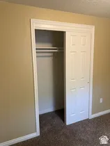 Textured carpeting with a neutral wall color, featuring a sliding panel closet door with internal hanging rods