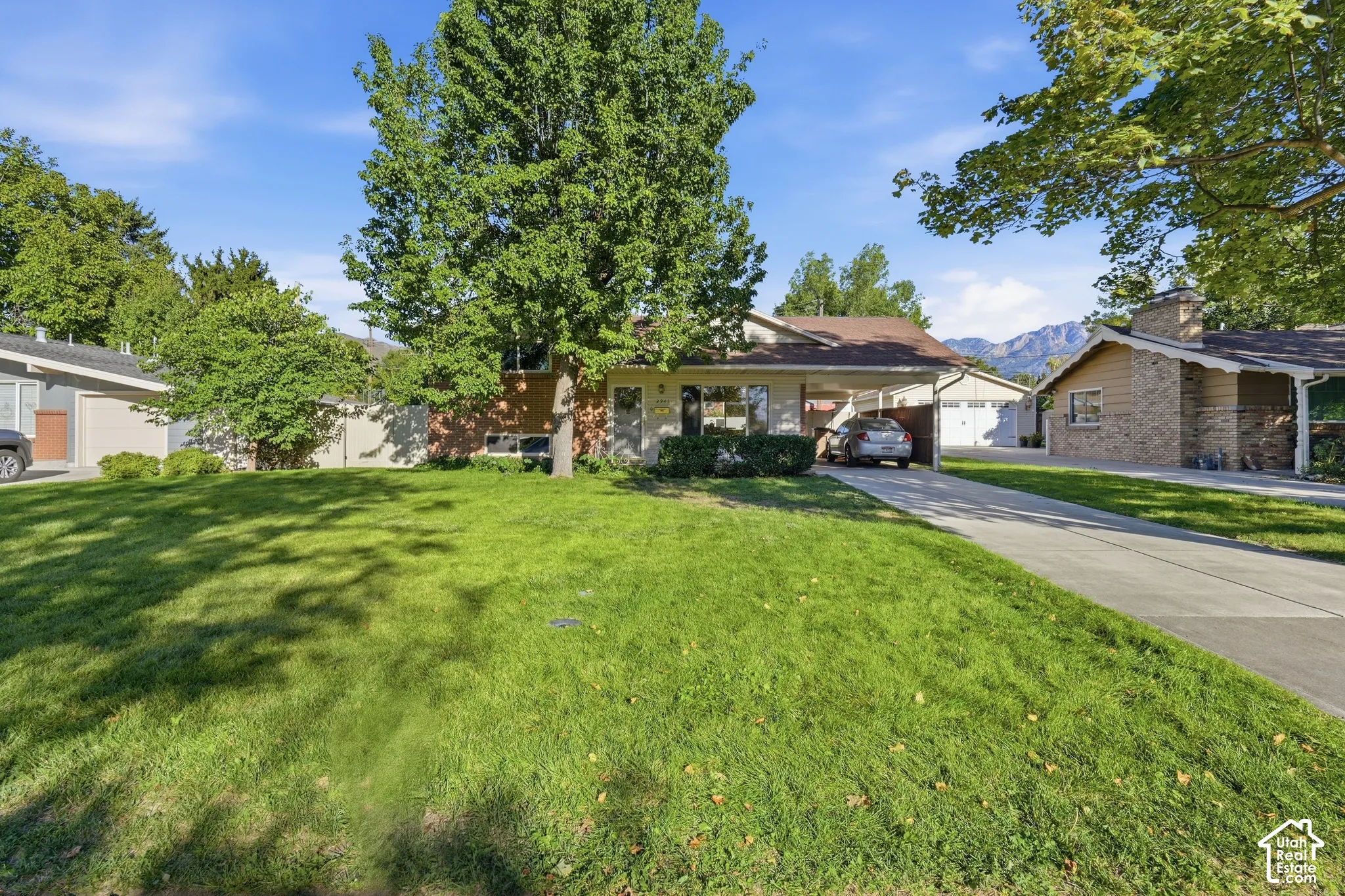 Expansive front lawn with mature trees
