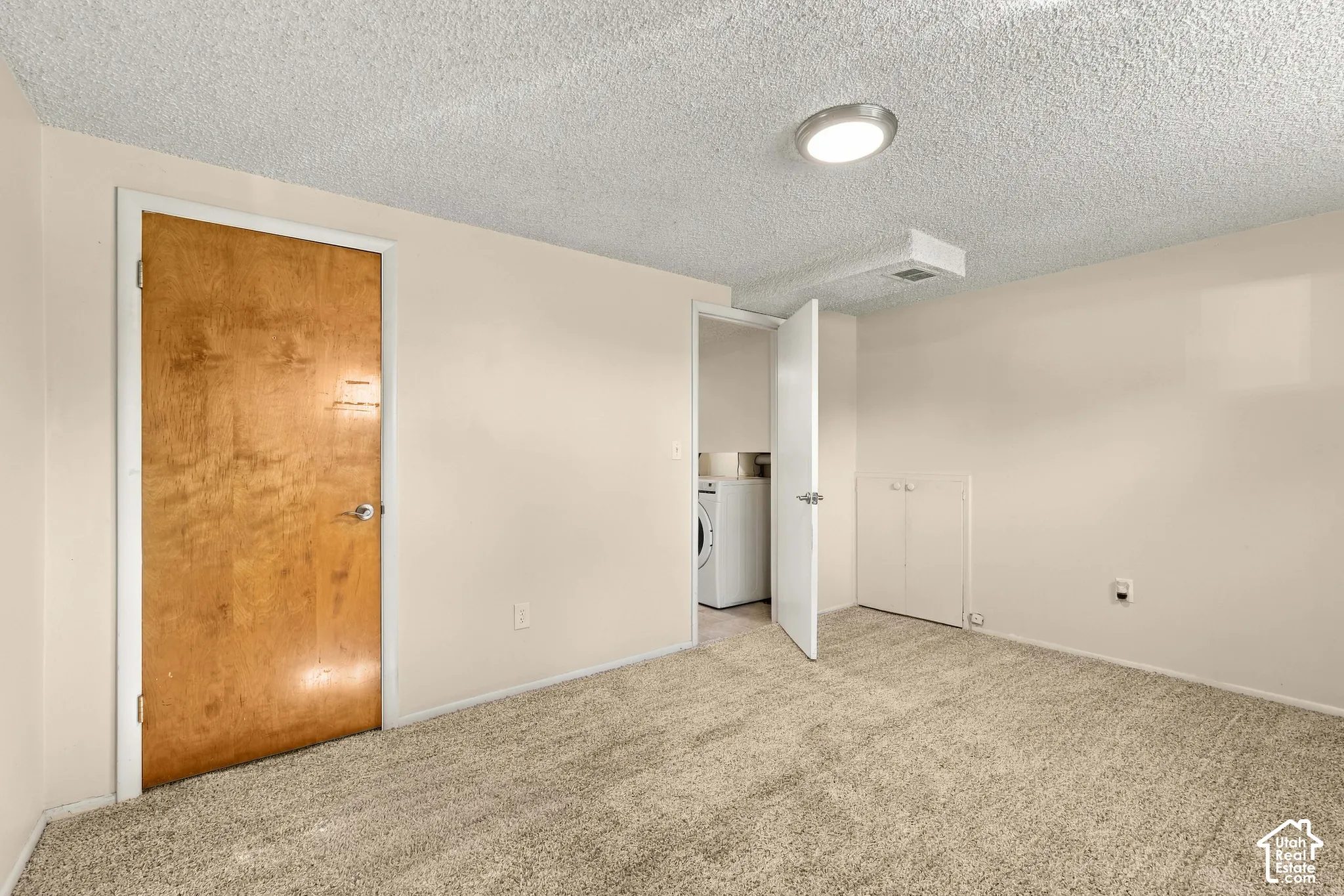 Wall-to-wall carpeting with light-toned walls, featuring a solid wood door, built-in cabinetry, and overhead lighting