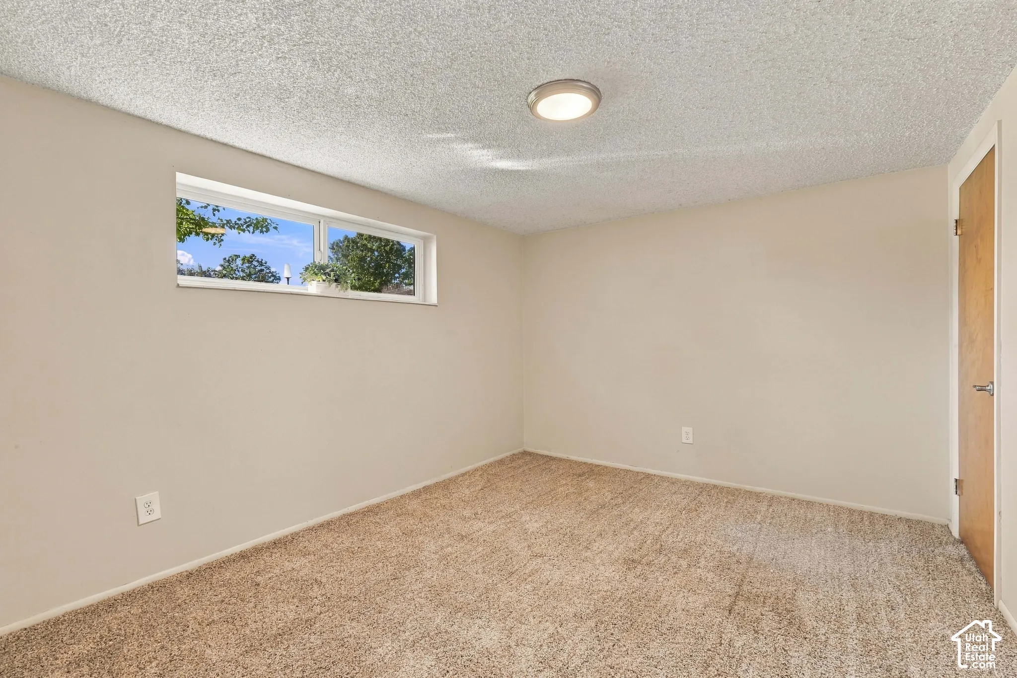 Neutral wall paint, textured ceiling, flush mount ceiling fixture, window with natural light, and carpeted flooring
