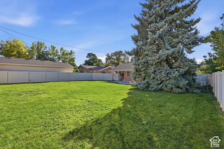 Expansive rear yard with a manicured lawn, established mature tree, and full perimeter fencing