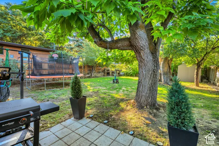 Manicured lawn with mature trees, a paved patio area, and a storage shed