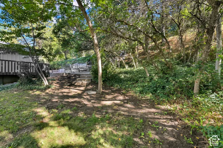 2554 E Woodland Dr, Uintah, Utah 84403