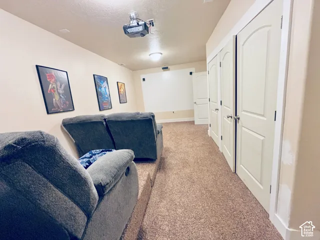 Downstairs movie room.