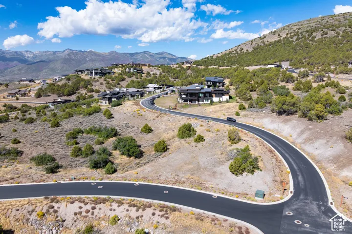 Paved roadway on a hillside property, surrounded by natural landscaping and distant mountains
