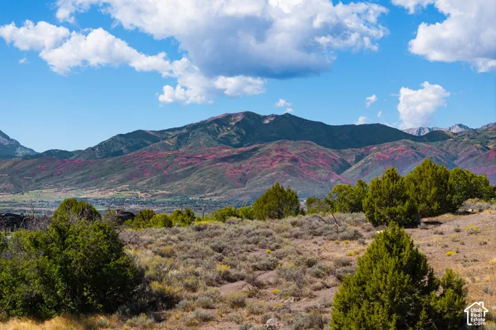 Expansive mountain scenery with distinct pink foliage and green vegetation