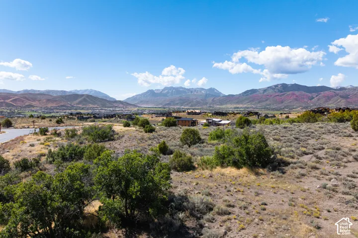 Expansive landscape featuring distant mountains, a residential development, and natural vegetation