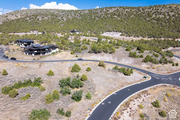 Paved roads traversing natural desert landscaping with scattered evergreen trees