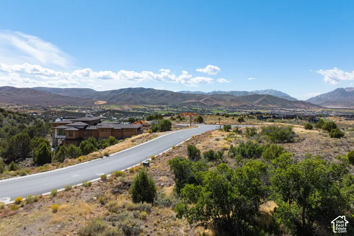 Paved road winding through a landscape with distant mountains, open terrain, and scattered trees