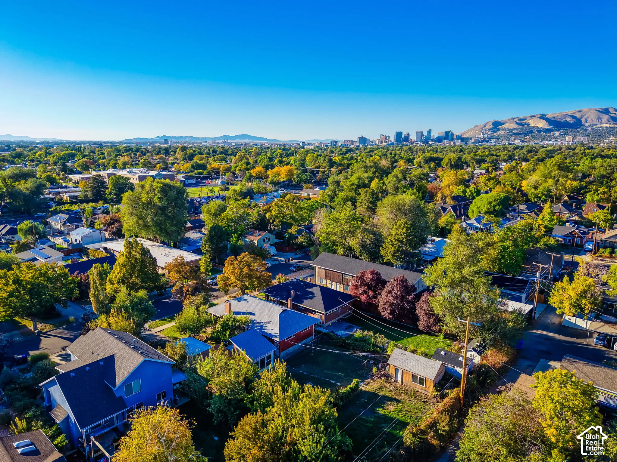Lush tree canopy surrounding residential properties, with distant city skyline and mountain backdrop