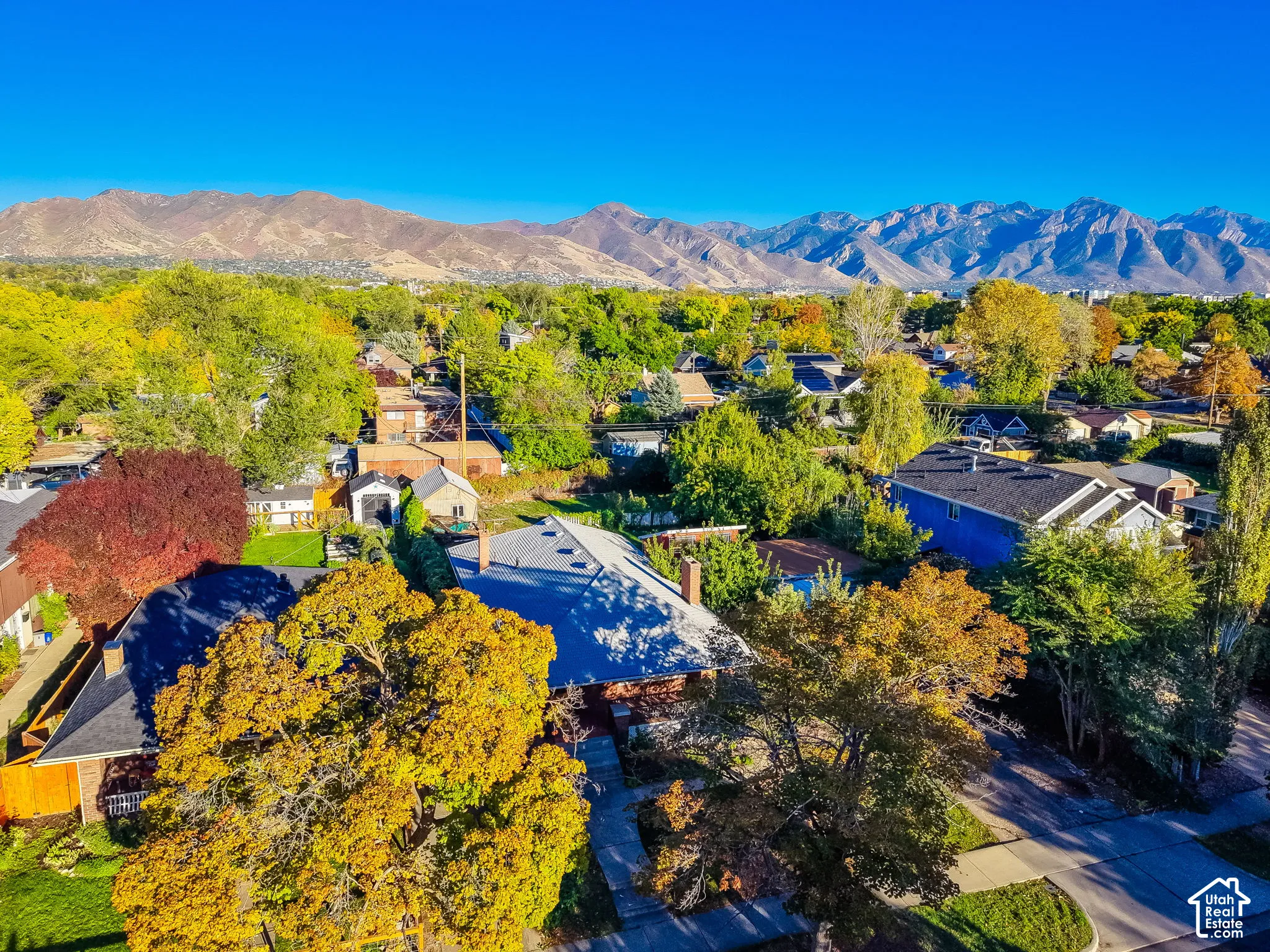 Mountain backdrop, mature trees, residential neighborhood