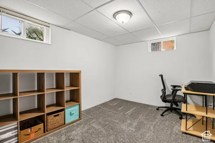 Recessed windows, neutral wall color, ceiling-mounted light fixture, acoustic tile ceiling, and gray textured carpeting