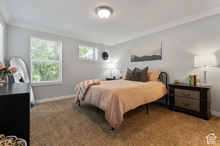 Wall-to-wall carpeting with light gray wall paint, crown molding, and two windows
