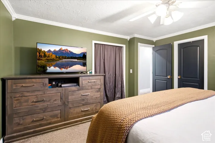Crown molding with textured walls, ceiling fan light fixture, wood-finish dresser with drawer storage, and paneled doors