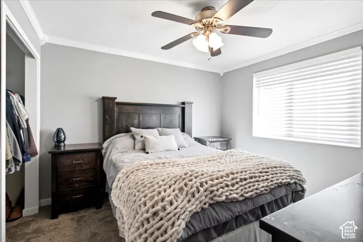 Crown molding accents the ceiling, complemented by a ceiling fan with integrated lighting