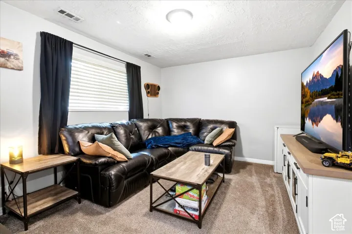 Carpeted flooring, window with blinds and curtains, wall-mounted television, and flush-mount ceiling light