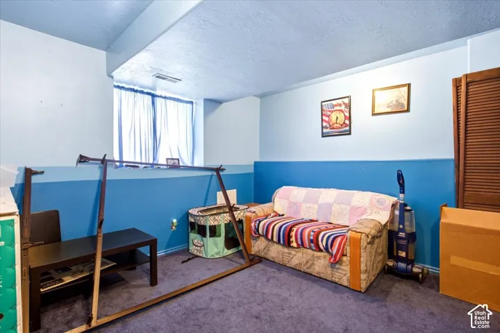 Basement family room