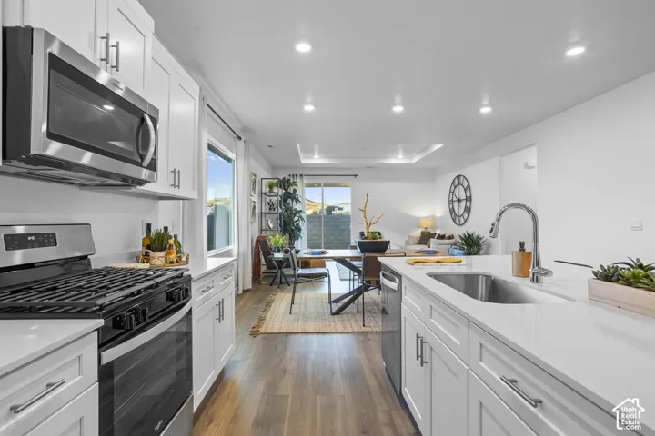 Modern kitchen featuring stainless steel appliances, white cabinetry, a kitchen island with an undermount sink, and wood-finish flooring