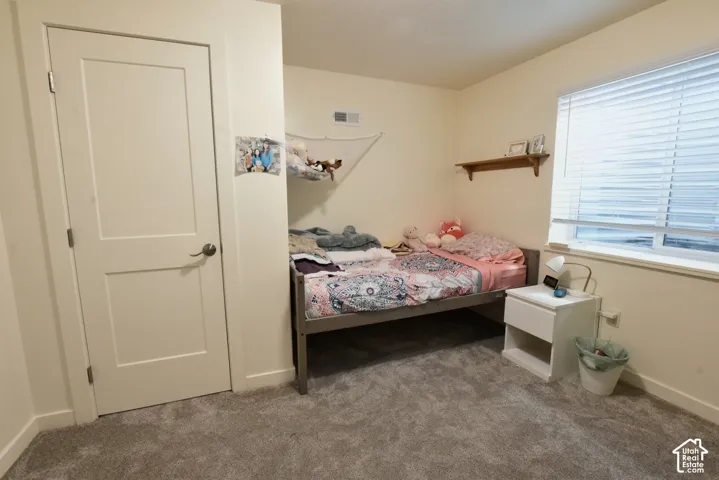 Carpeted flooring, single pane window with blinds, white trim, and a white interior door