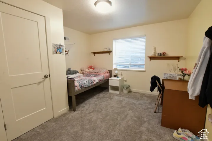 Neutral wall paint, plush carpet flooring, and a single window with blinds