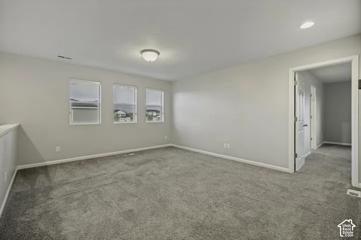 Expansive carpeted room featuring three windows, a built-in railing, and a flush-mount ceiling light