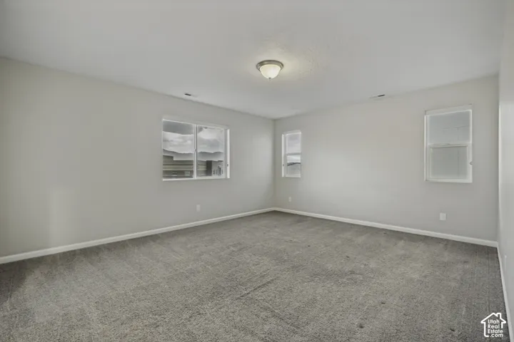 Spacious room featuring light gray carpeting, neutral wall color, multiple windows providing natural illumination, and a ceiling-mounted light fixture