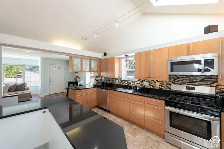 Vaulted ceiling with track lighting, wood-finish cabinetry, black countertops, stainless steel appliances, and a tiled backsplash
