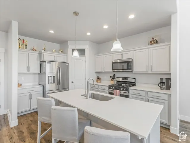 Well-appointed kitchen featuring light-toned cabinetry, stainless steel appliances, a large center island with an integrated sink, and wood-finish flooring