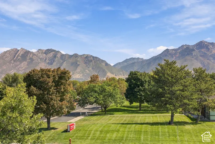 Expansive green space with mature trees and a distant mountain backdrop