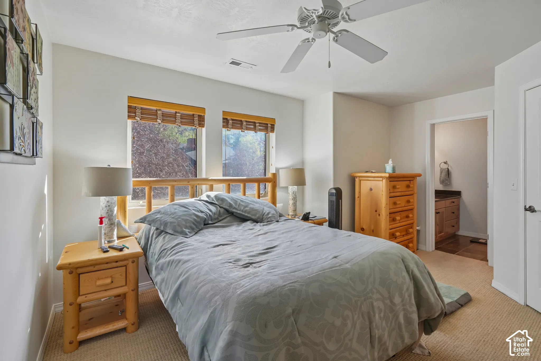 Light-toned carpeting, two windows with woven shades, and a ceiling fan
