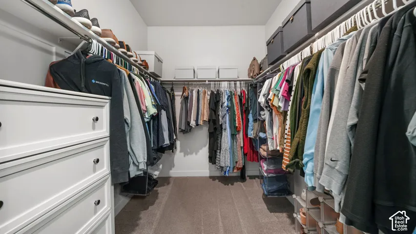 Walk-in closet featuring built-in shelving, hanging rods, and a dresser with drawer storage