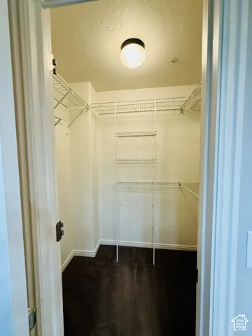 Walk-in closet with wire shelving system and overhead lighting
