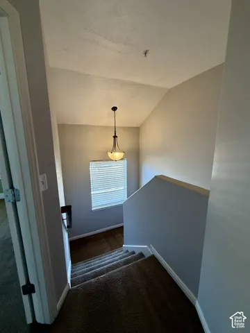Carpeted staircase with painted walls