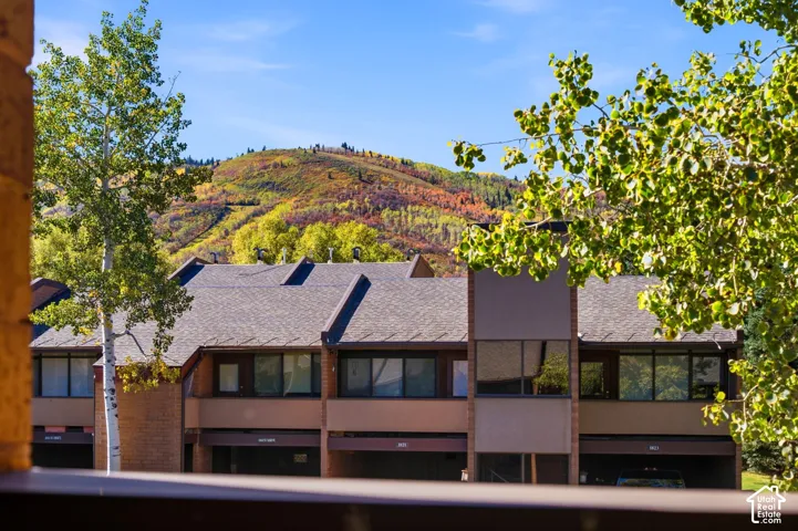 Mountain backdrop with colorful foliage
