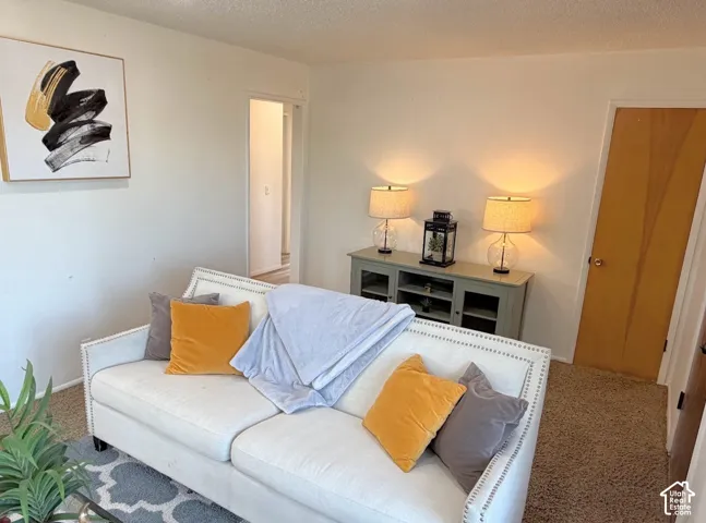 Neutral wall paint, textured carpeting, and wood-finish interior doors