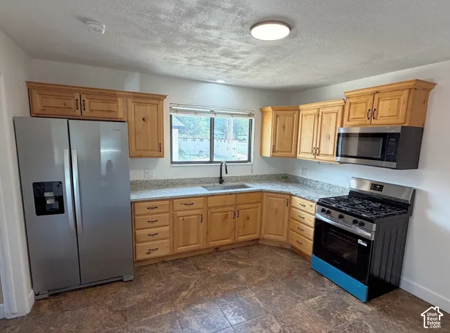 Light-toned wood cabinetry, stainless steel appliances, speckled stone countertops, and a built-in microwave