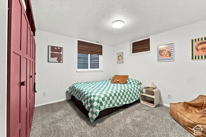 Panel-style built-in storage with dark hardware, recessed lighting, and carpeted flooring