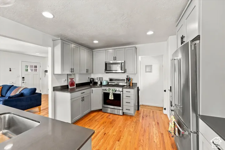 Kitchen featuring gray shaker-style cabinetry, stainless steel appliances, recessed lighting, and wood-finish flooring
